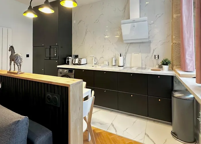 Loft Moderne Saint-ambroise Apartment *